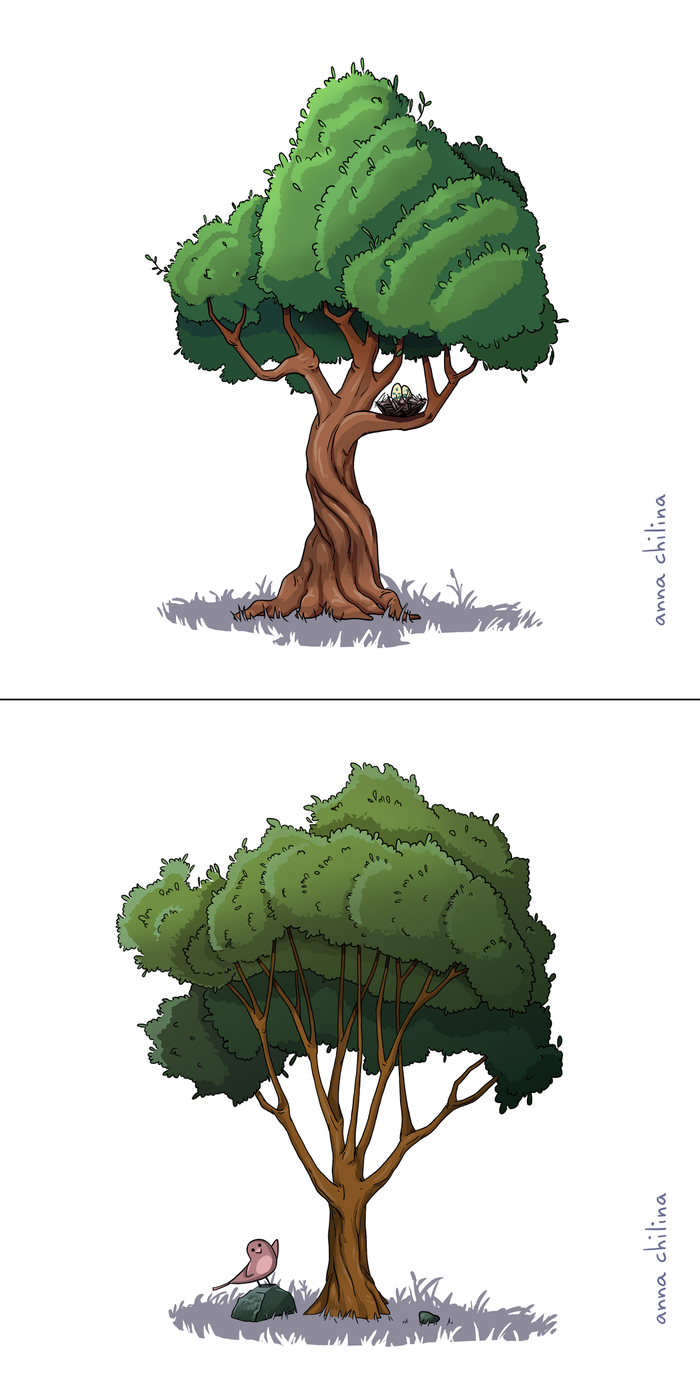 Древо познания взаимонезаменяемых токенов