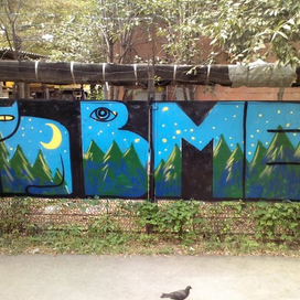 cat,tag,night woods