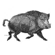 Колбасные обрезки - 2.