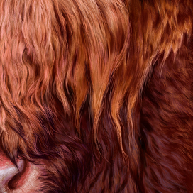 фотообои.Бык