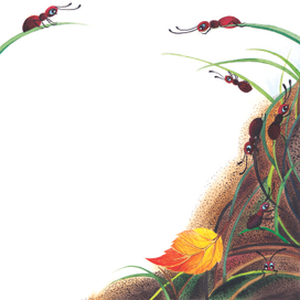 Удивительное вокруг нас