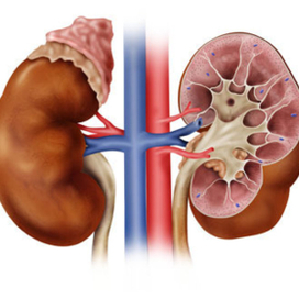 (без названия)