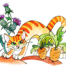 Кот играет в прятки