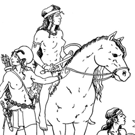 амазонки тушь