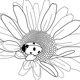 Векторная графика