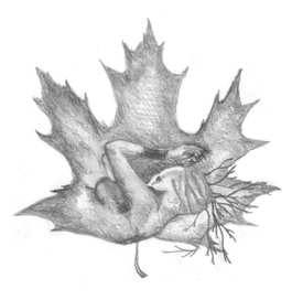 Иллюстрация на шмуц книге стихов