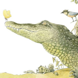 про крокодилов