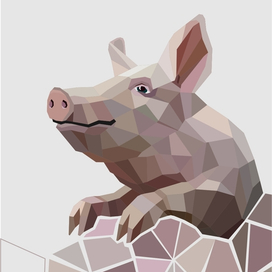 Pig