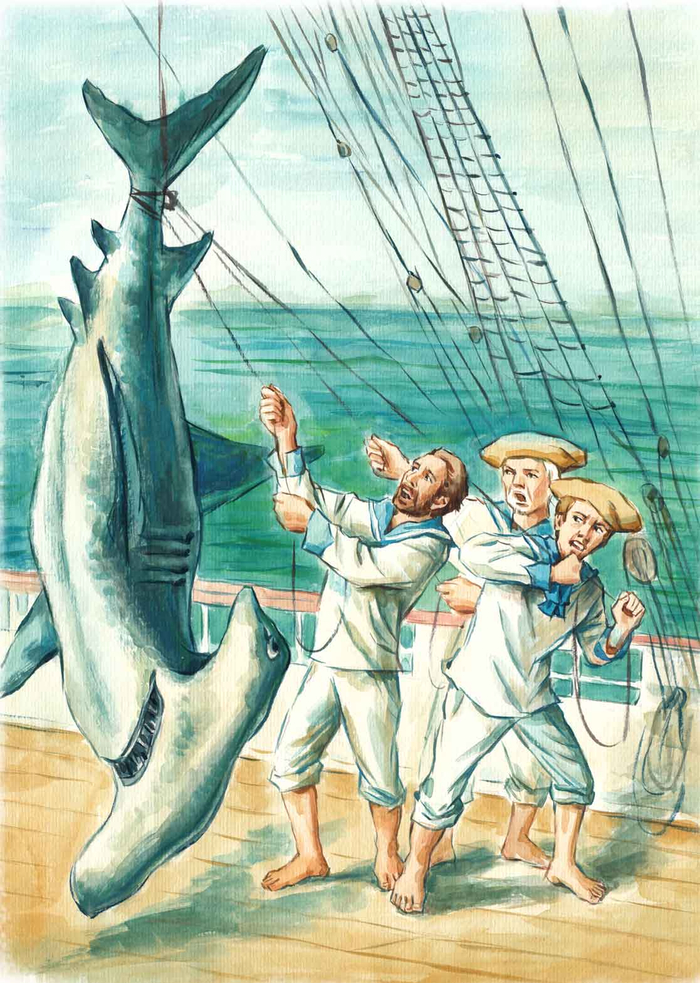 Дети капитана Гранта. Жюль Верн