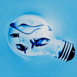 ЖИЗНЬ ВНУТРИ !