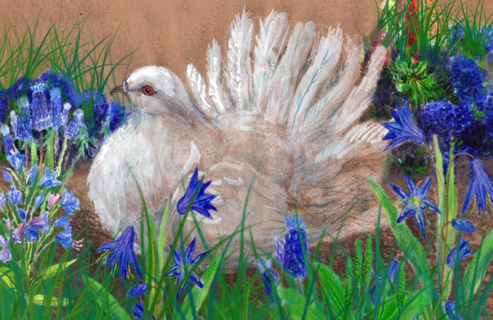 Белый голубь и синие цветы 