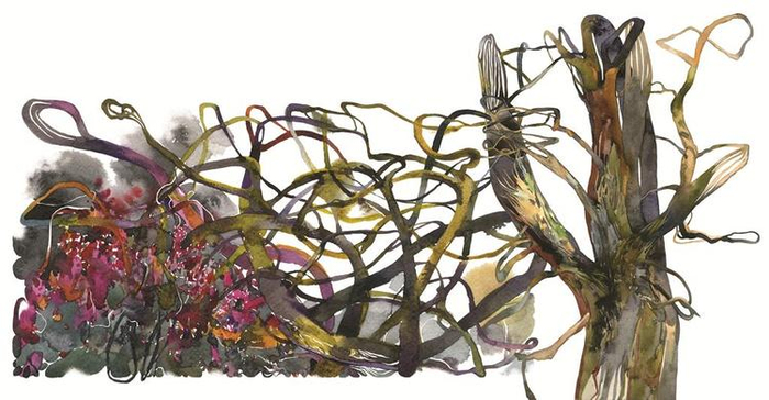 партрэт дрэва