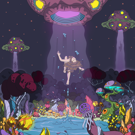 Похищение с неизвестной земли 