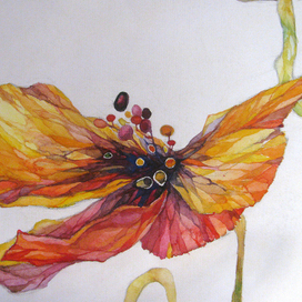 МАКИ фрагмент