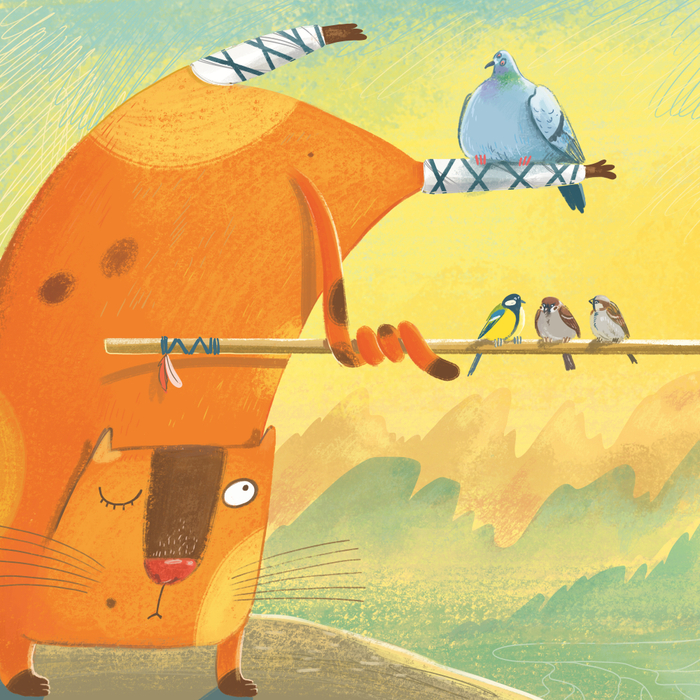 Шаолиньский котик