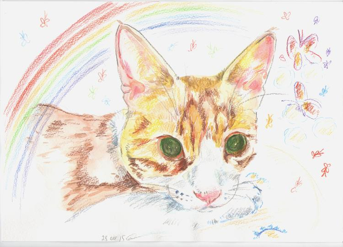 Котик, ушедший за радугу... 