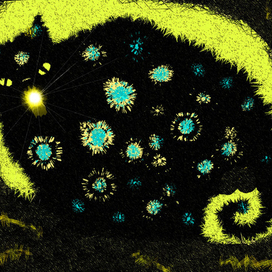 Вы застукали кота!