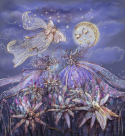 Эдельвейсы цветут