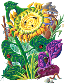 И.Крипякевич Буряк и подсолнух