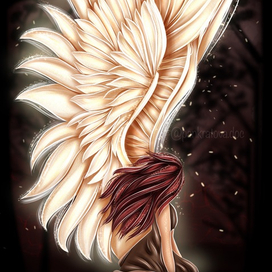 Иллюстрация к книге 