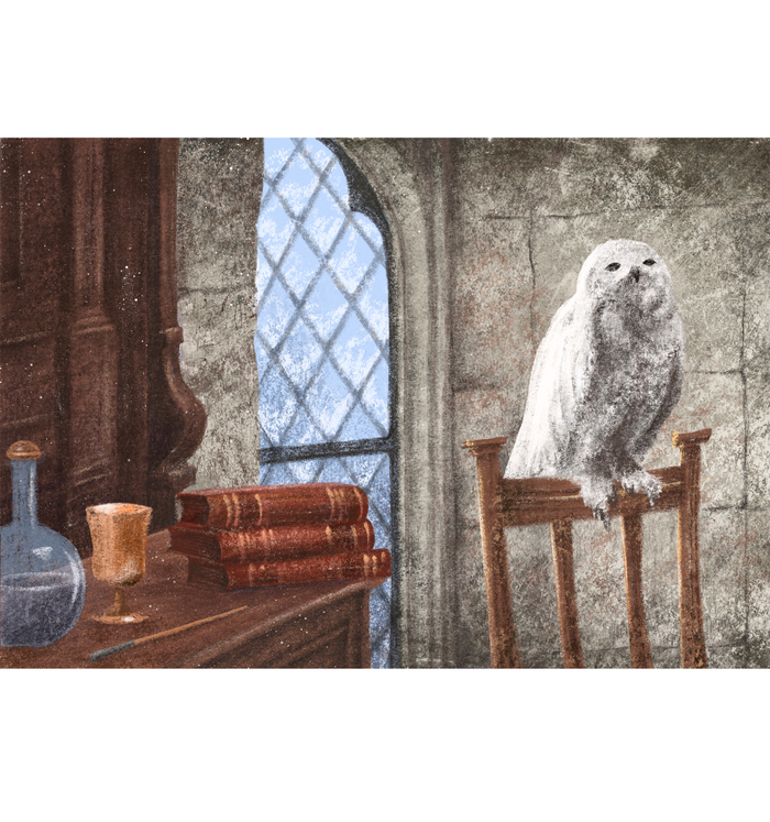 Уютный совиный друг