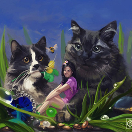 мое окружение