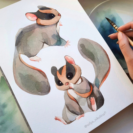 Акварельные этюды