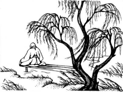 Сайге "Времена года"