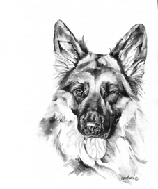 Подмигивает!