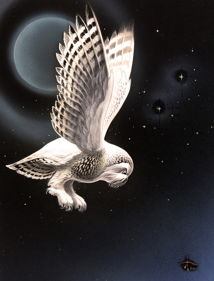 Полярная сова...