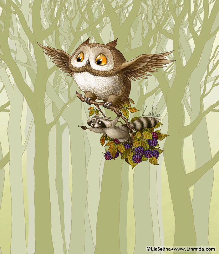 Сова и енот