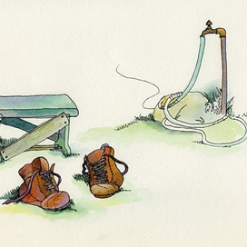 дачные зарисовки