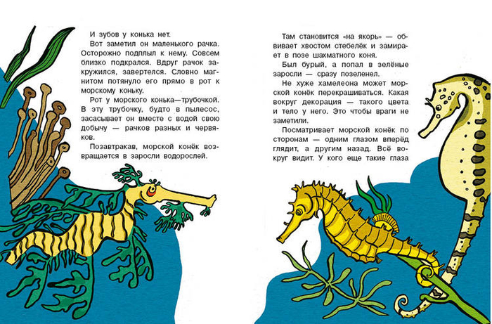 Кто без крыльев живет_12