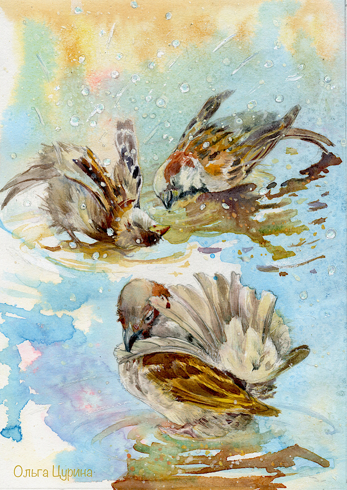 Домашний воробей