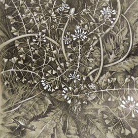 Мир под ногами. №4