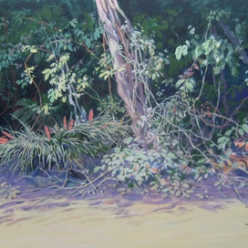 Бромелии (этюд)