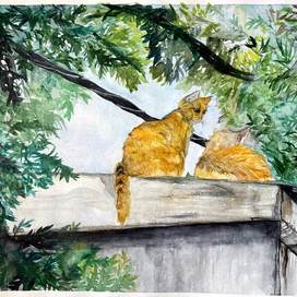 коты в Крыму