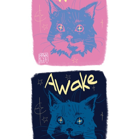 Неспящий котик //