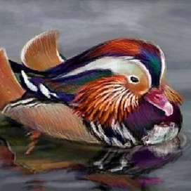 Мандаринка | Нраффити