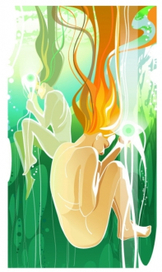 морские светлячки