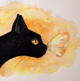 "Black cat brings good luck"