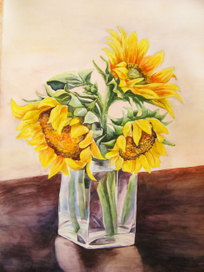 подсоднухи