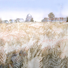 Свияжский сон. Пустырь.