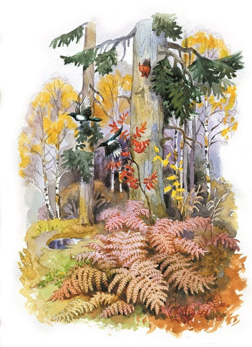 Осенний лес