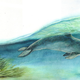 "Приключения принцессы-рыбки"