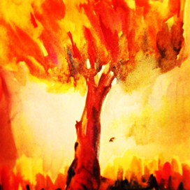 Огненное дерево