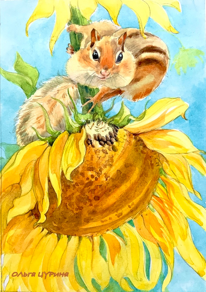 Еще один бурундучок, еще одна версия😊  ( для издательства Качели)