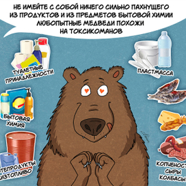 Комикс "как не поссориться с медведем"