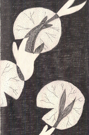 Несущие прохладу