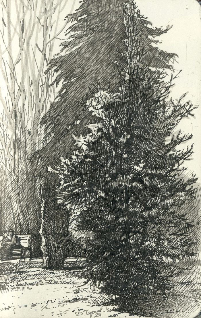 Парковая зарисовка